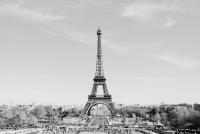 Trois bons réflexes à adopter pour contester un refus de visa d'entrée en France